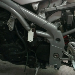 IMAG0283.jpg