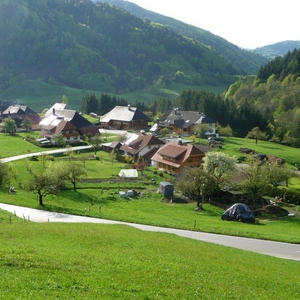 P1010336.jpg