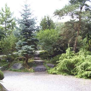 tuin.jpg