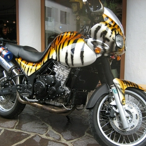 Tigerprint.jpg