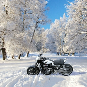 X4 snowsmall.jpg