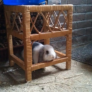 sized_IMAG0711.JPG