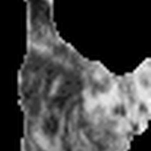 poes.gif