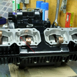TZ146.jpg