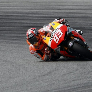 Marc.jpg