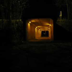 fles_20130312_1