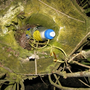 fles_20130312_3