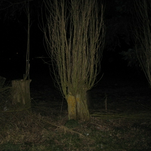 fles_20130312_2