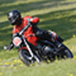 hans89.gif