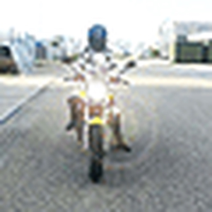 motorex.gif