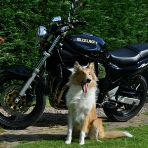 Jeroen1992.jpg