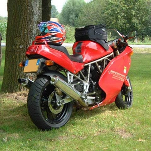 duc.JPG