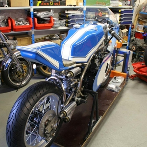 TZ243.jpg