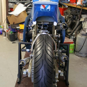 TZ248.jpg