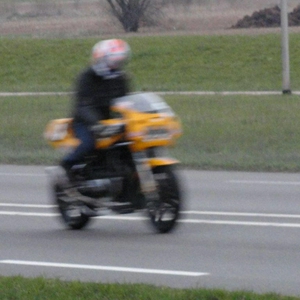 DSC04442.jpg