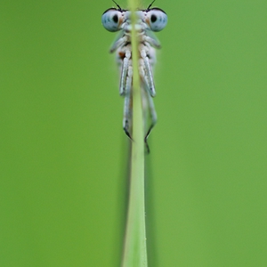 DSC_9044.jpg