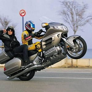 1gw1800wheelie.jpg