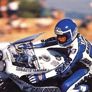 sarron5.jpg
