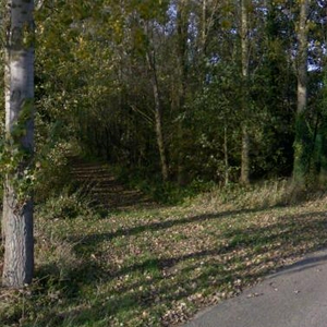eigenweg.JPG