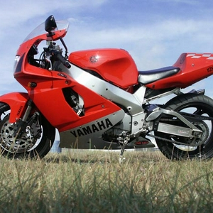 PICT3679.jpg