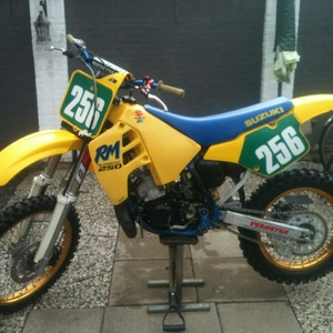 Suzuki RM 250 1989.jpg