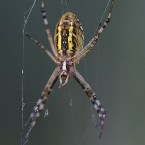 _ALC1322.jpg