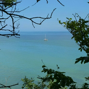 IMG_20130809_133421~01.jpg