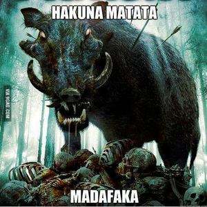 wild boar.jpg