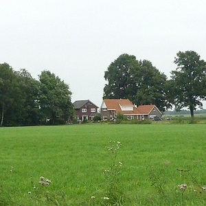 6.JPG