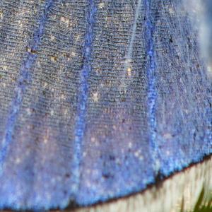 _ALC3764.jpg