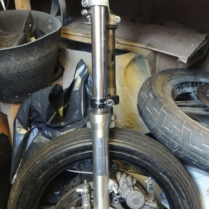 dymag 2.jpg