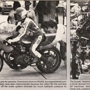 suzuki2.jpg