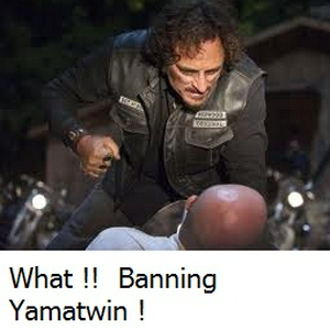 tig2.jpg