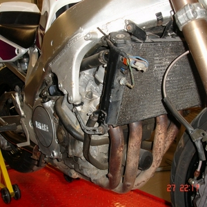 F006.jpg