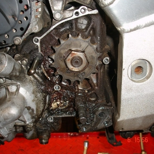 F009.jpg