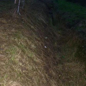 sized_P1110973.JPG