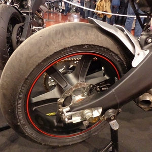 BadS2013 (63).JPG