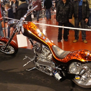 BadS2013 (66).JPG