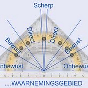 waarnemingsgebied menselijk oog.png