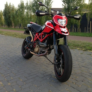 duc4.jpg