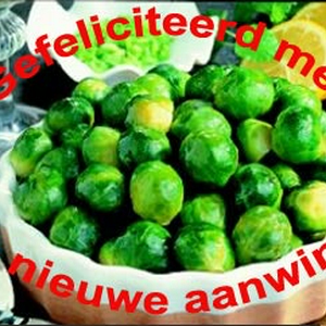 spruiten.jpg
