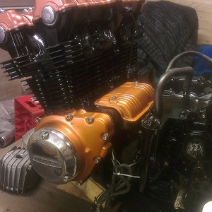 IMAG2567.jpg