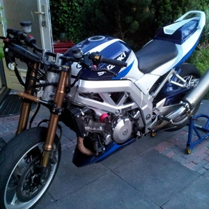 SV 1000 naked