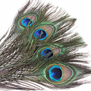 Natural-big-eyes-font-b-peacock-b-font-font-b-feather-b-font-longwinged-hair-accessory.jpg