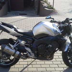 fz1.jpg