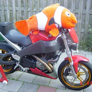 nemo_escapes.jpg