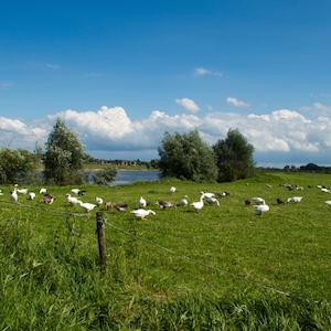 IJSSEL