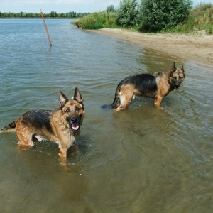 DSCF5195.JPG