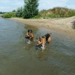 DSCF5196.JPG