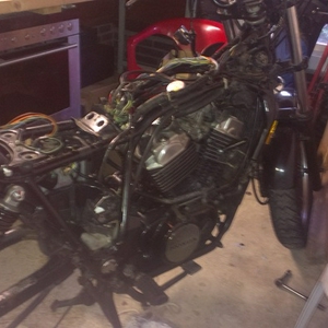 HOnda ascot